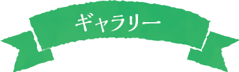 ギャラリー
