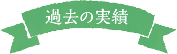 過去の実績