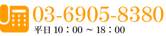 03-6905-8380